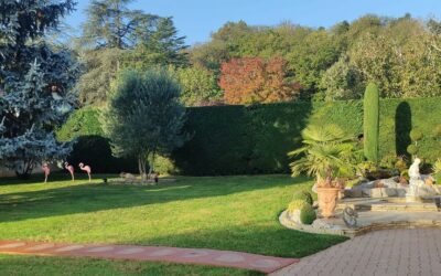 Entretien du jardin spécial séniors